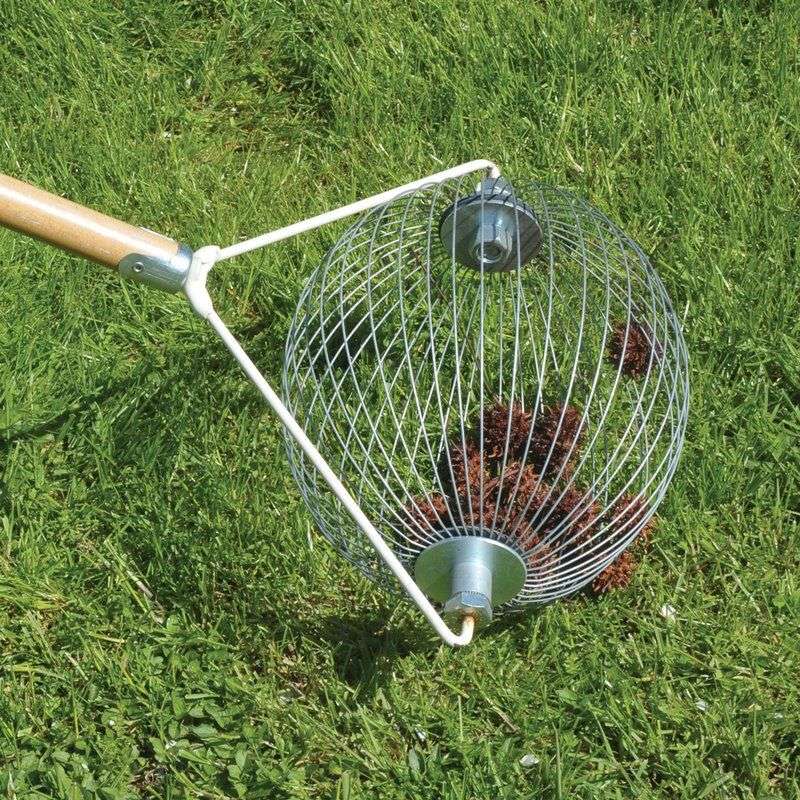 Raking Pays Off Before Winter Rain Arrives