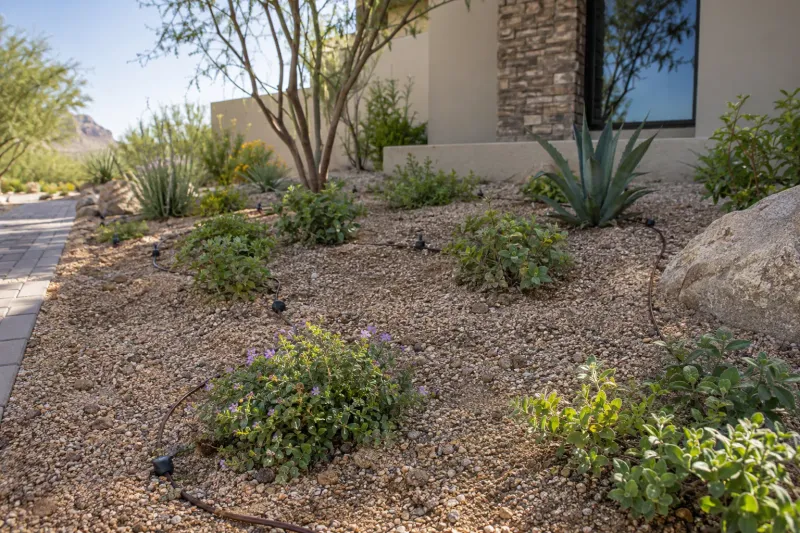 Reduce open ground with mulch and plant cover Reduce open ground with mulch and plant cover