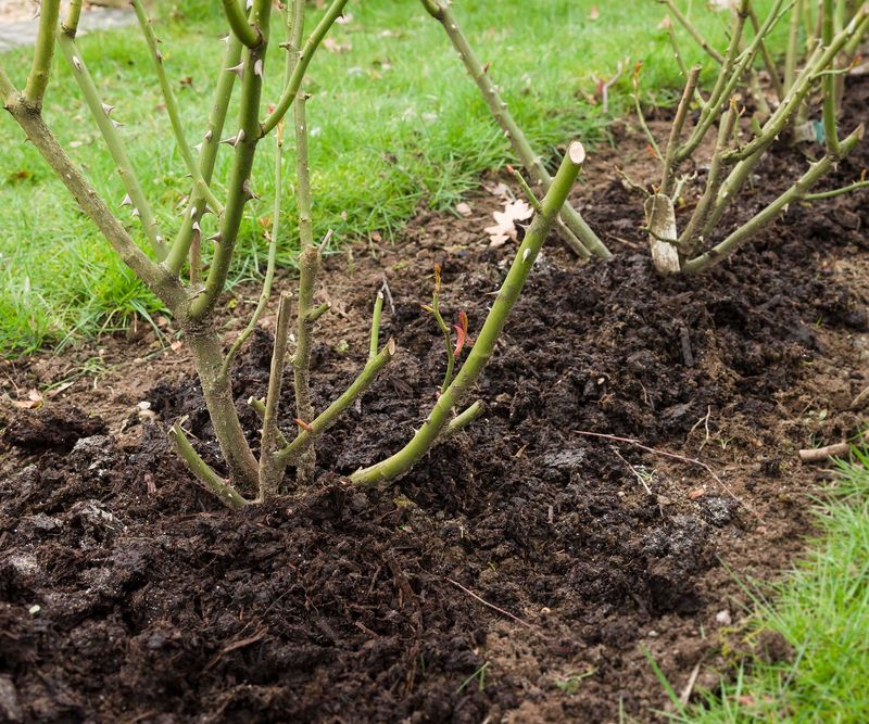 Refresh The Mulch