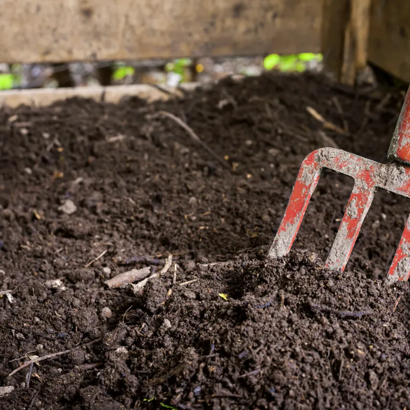 Refresh Your Soil With Compost Before Rains Arrive Refresh Your Soil With Compost Before Rains Arrive