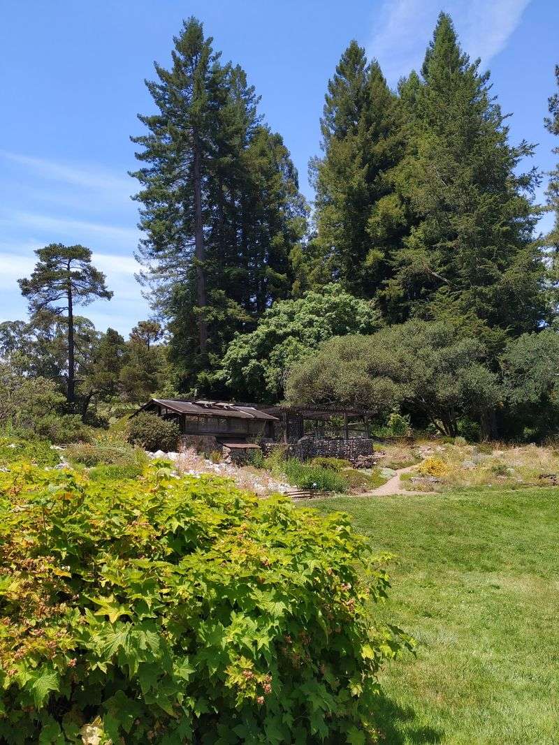 Regional Parks Botanic Garden Sale Opens The Season
