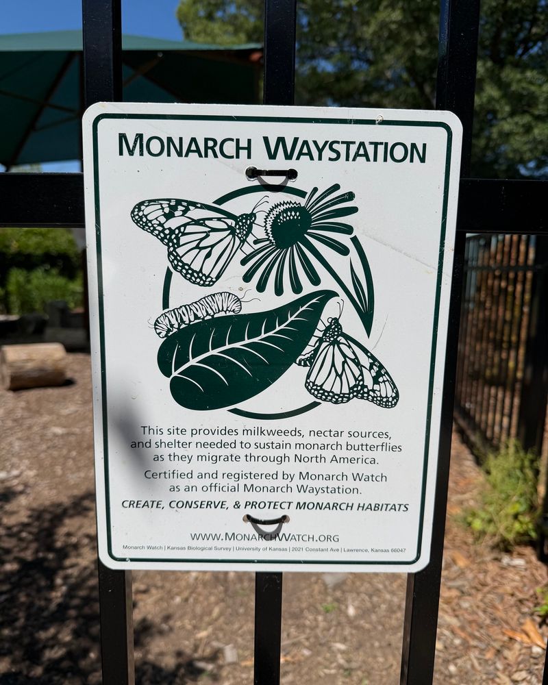 Register Your Yard As An Official Waystation Register Your Yard As An Official Waystation