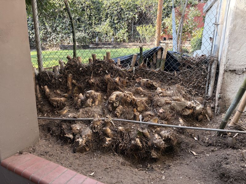 Regularly Severing Escaping Runners With A Spade Offers Another Option