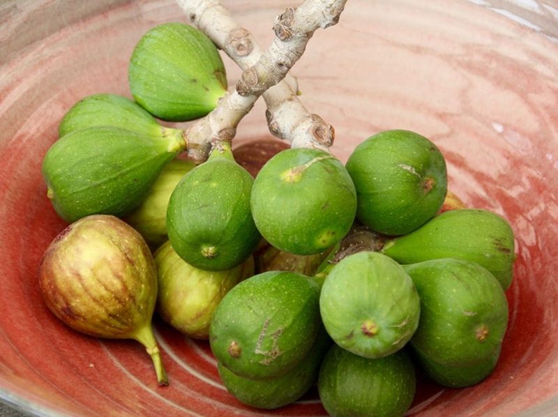 Remove Fruit That Won't Ripen In Time