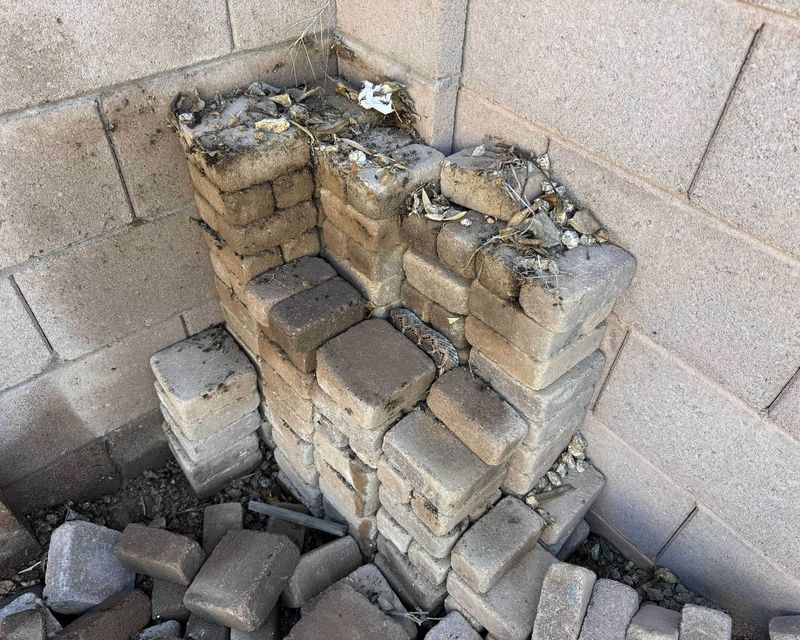 Remove Rock And Wood Piles
