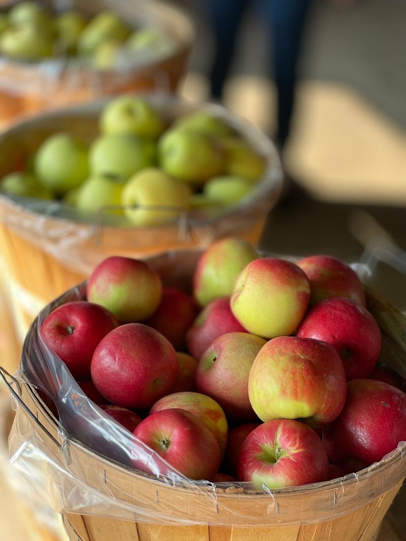 Rennie Orchards Offers A Cozy Northern Michigan Stop