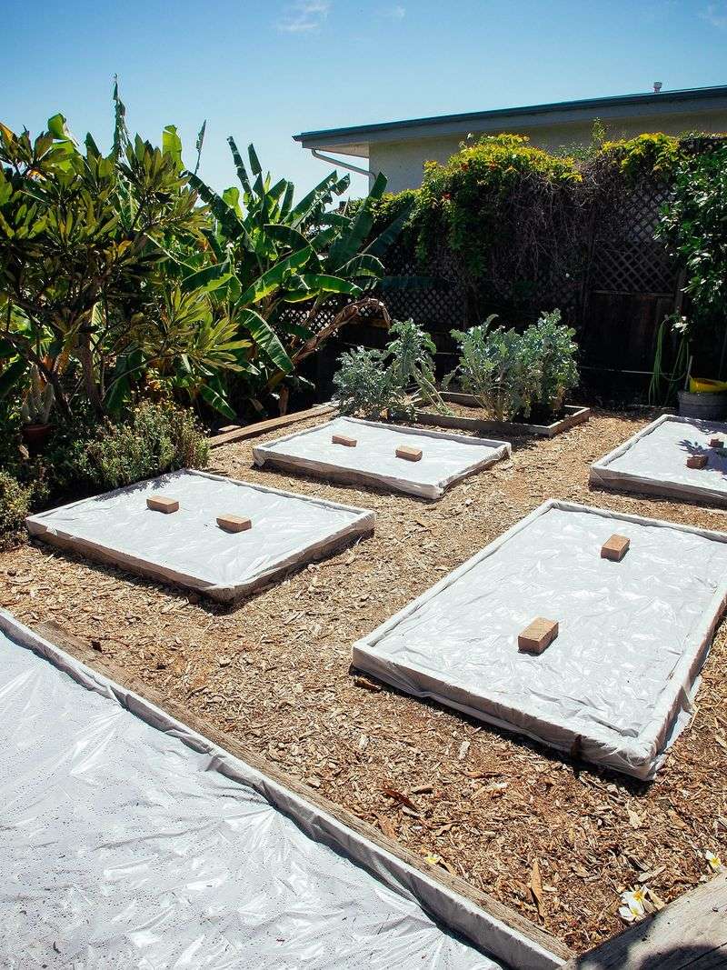 Renovate the bed with realistic expectations Renovate the bed with realistic expectations
