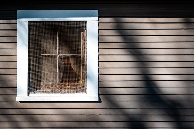 Repair Torn Screens On Windows And Doors