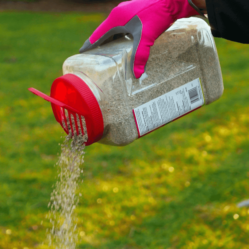 Repellent Granules And Mothballs Are Not A Reliable Solution Repellent Granules And Mothballs Are Not A Reliable Solution