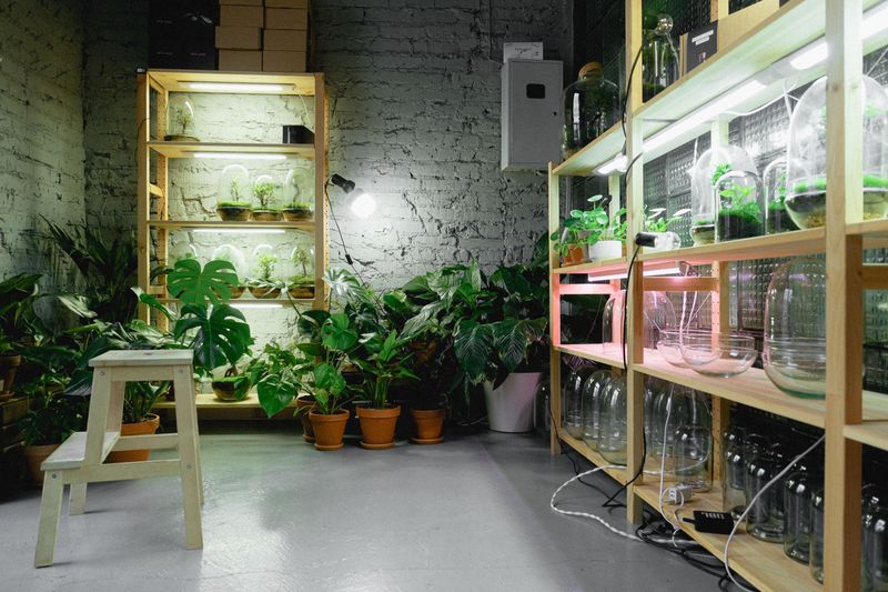 Reset Timers On Grow Lights And Outdoor Lights