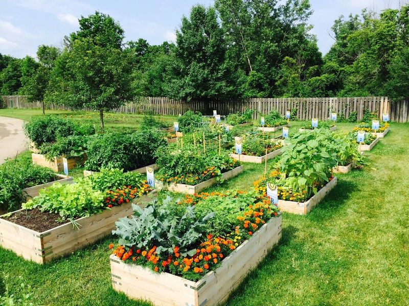 Review What Grew Well In Your Virginia Beds