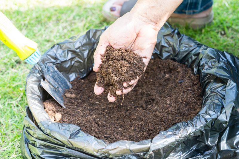 Rich, Compost-Packed Earth