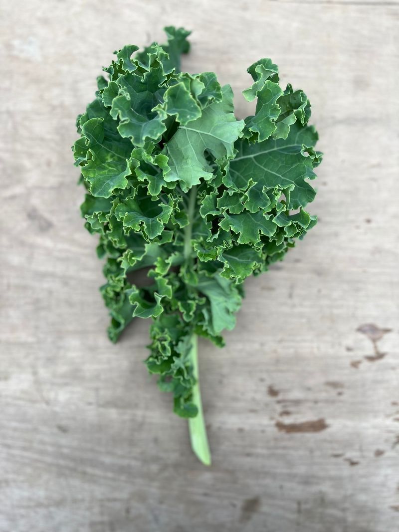 Rinse Curly Kale Leaf By Leaf Rinse Curly Kale Leaf By Leaf