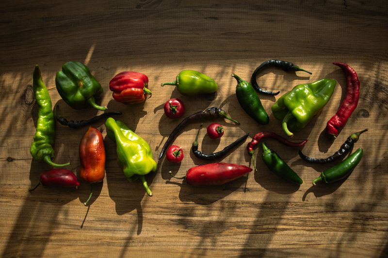 Ripen Mature Peppers On A Sunny Counter Ripen Mature Peppers On A Sunny Counter