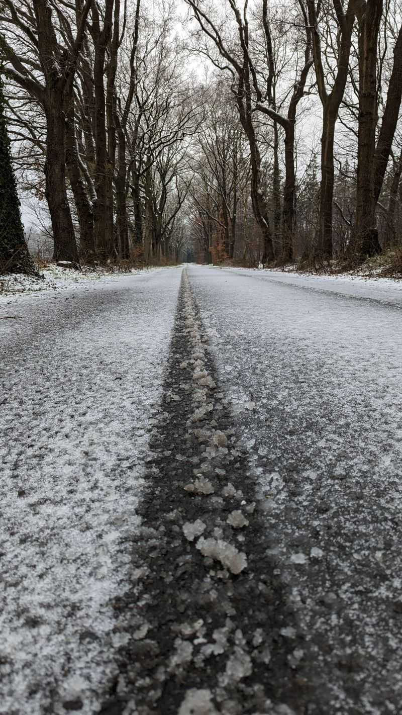 Road Salt Can Stress Nearby Roots Road Salt Can Stress Nearby Roots