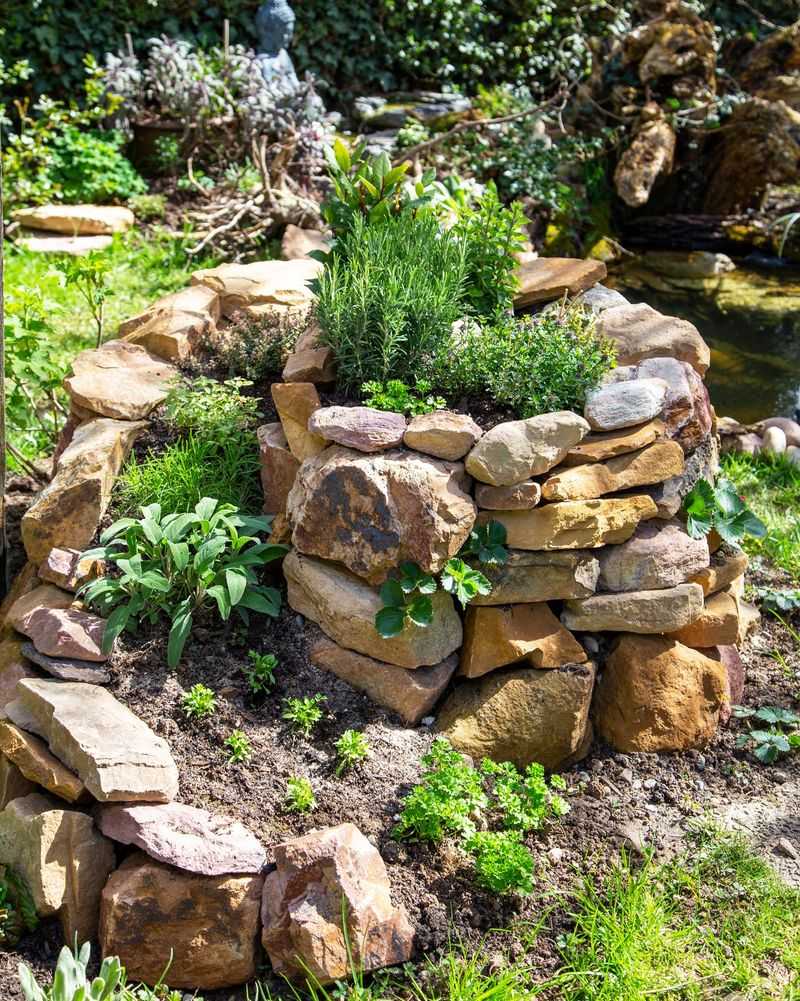 Rock Piles Provide Crevices Scorpions Can Retreat Into Rock Piles Provide Crevices Scorpions Can Retreat Into