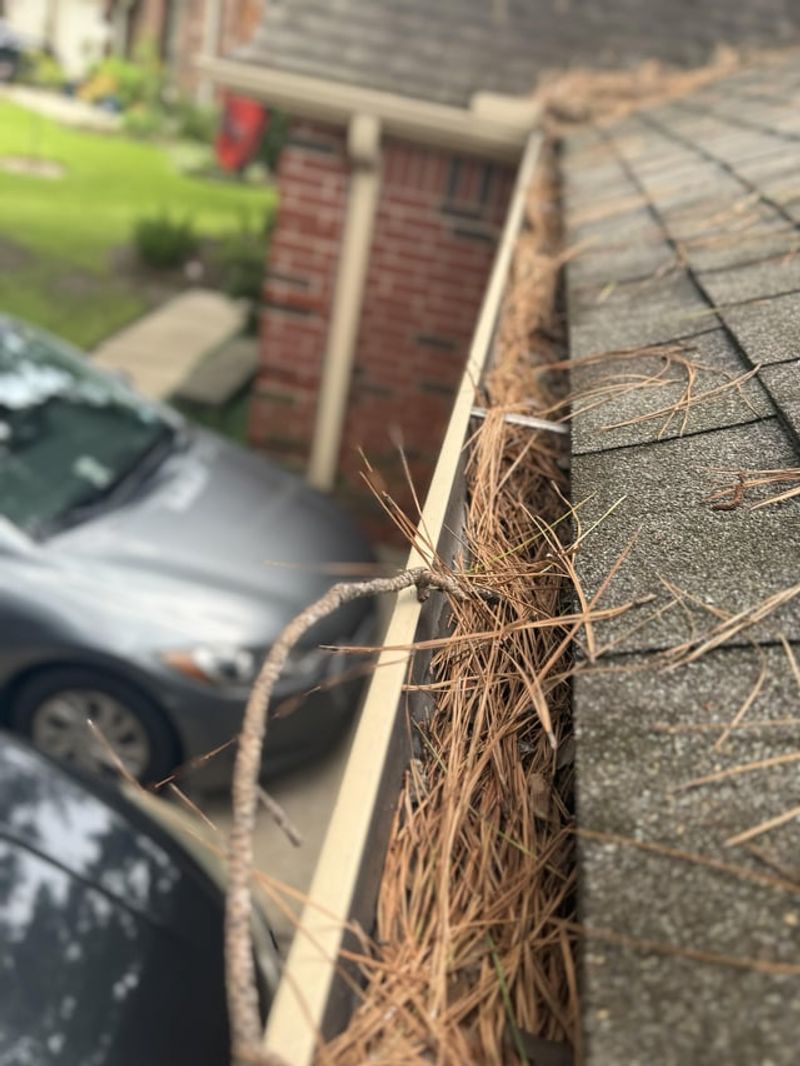 Roofs And Gutters Are The Most Vulnerable Spots Roofs And Gutters Are The Most Vulnerable Spots