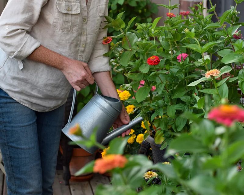 Root Zone Watering As A Simple Fix Root Zone Watering As A Simple Fix