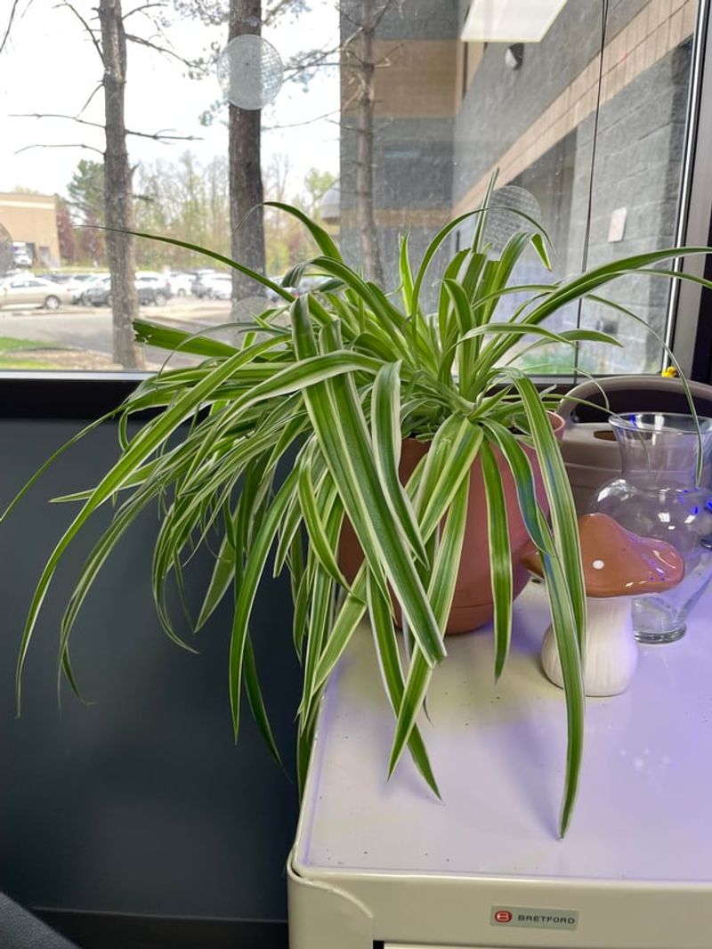 Rotate The Pot Every Week Rotate The Pot Every Week