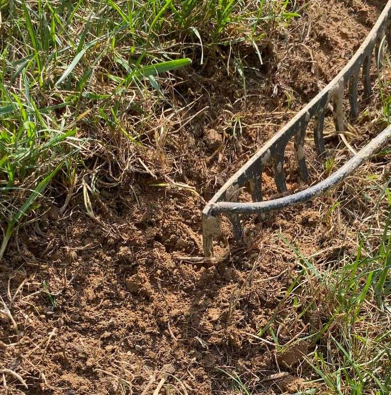 Rough Up Bare Spots With A Hand Fork Or Hard Rake