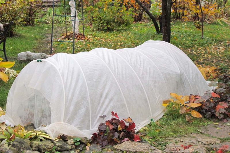 Row Covers Extend The Season By Weeks