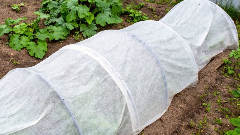 Row Covers For Cool Season Crops Row Covers For Cool Season Crops