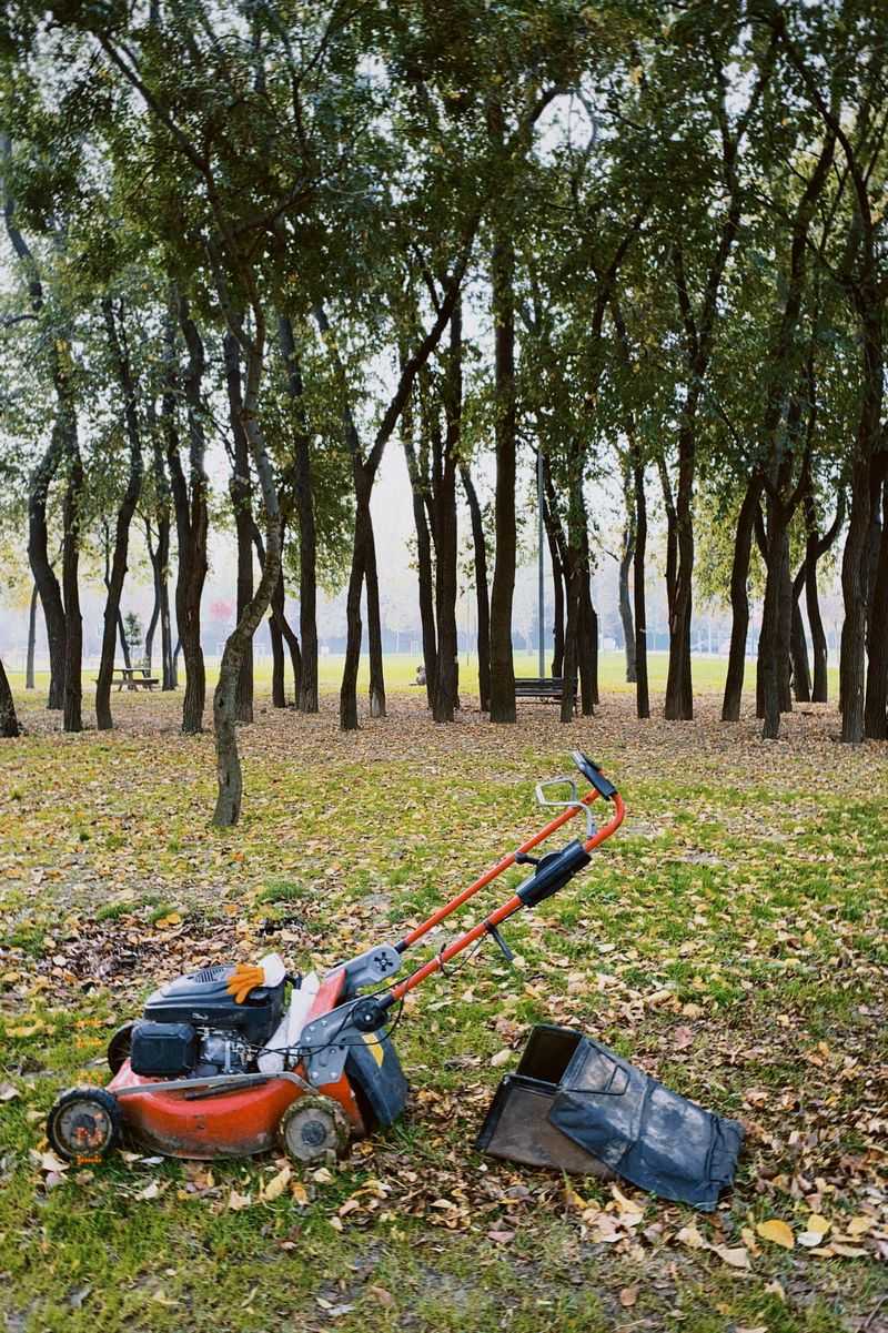 Run The Mower Over Dry Leaves Until They Look Like Confetti Run The Mower Over Dry Leaves Until They Look Like Confetti