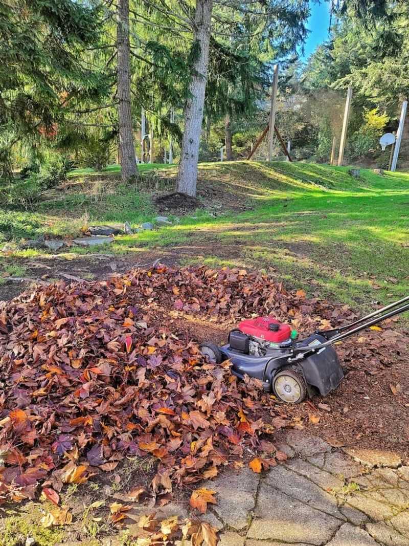 Running Leaves Through A Mower First Shortens The Wait Running Leaves Through A Mower First Shortens The Wait