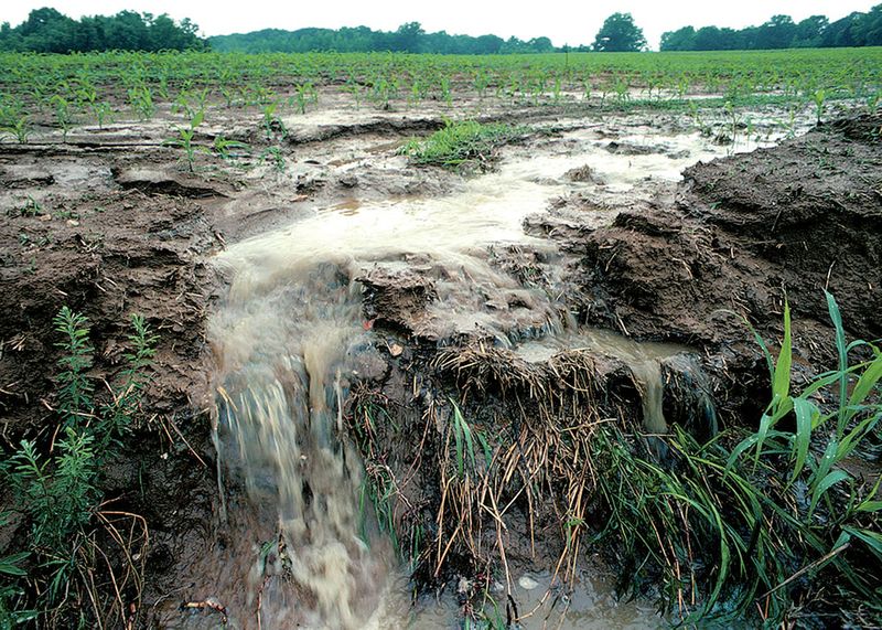 Runoff From Compost Can Harm Nearby Water Runoff From Compost Can Harm Nearby Water