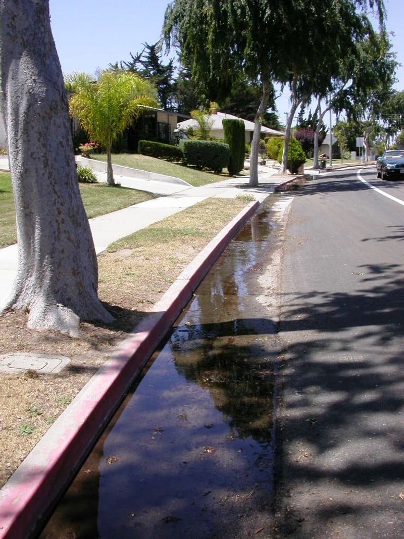 Runoff Onto Streets Is The Top Violation