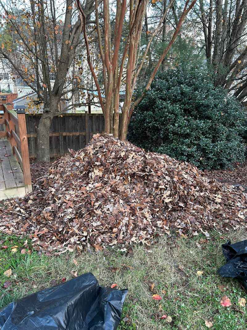 Save A Few Bags For Later Garden Beds
