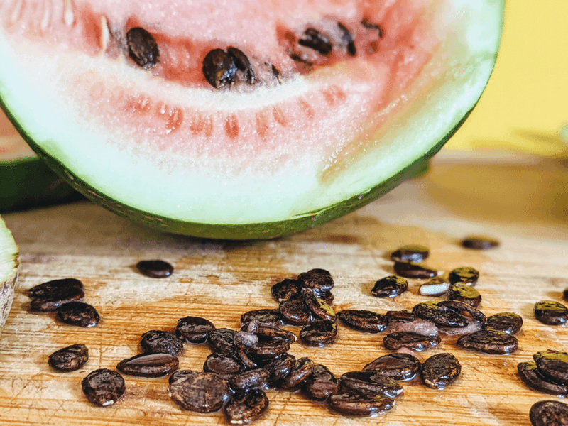 Save Seeds From Fruit That Stays Firm Save Seeds From Fruit That Stays Firm