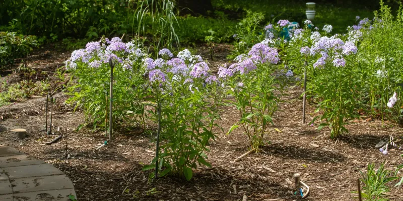 Save The Fertilizer For Spring Save The Fertilizer For Spring