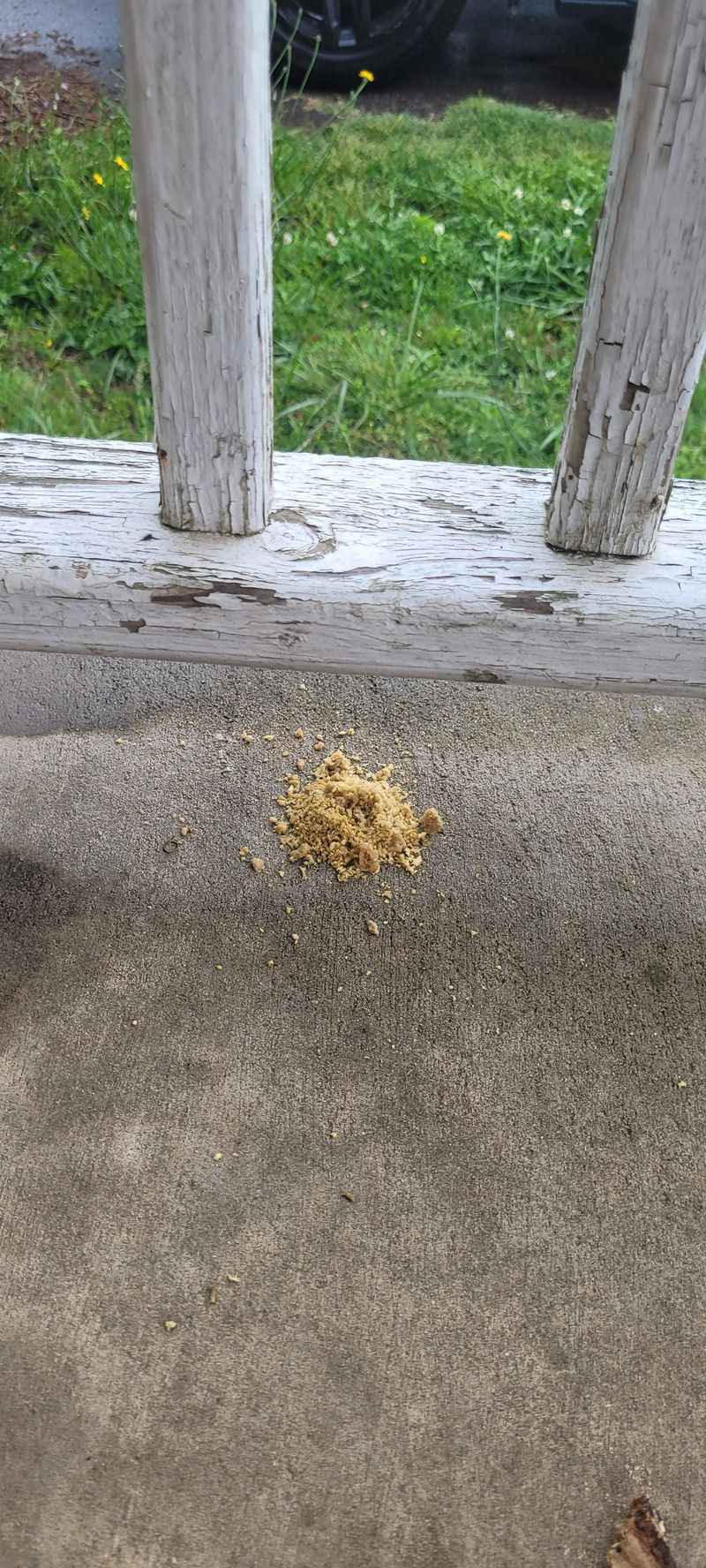Sawdust Piles Below the Wood