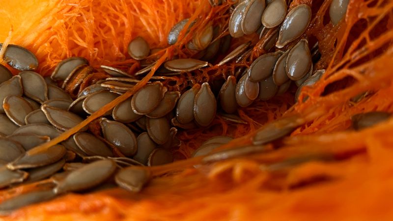 Scoop Pumpkin Seeds Before They Sprout In Your Pile