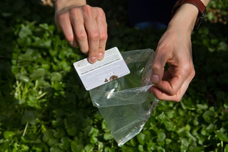 Scrape With A Plastic Card Or Putty Knife