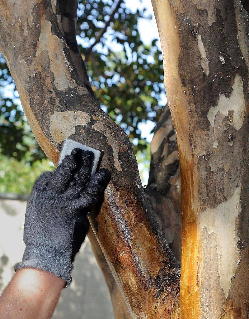 Scrubbing Makes Later Treatments Work Better