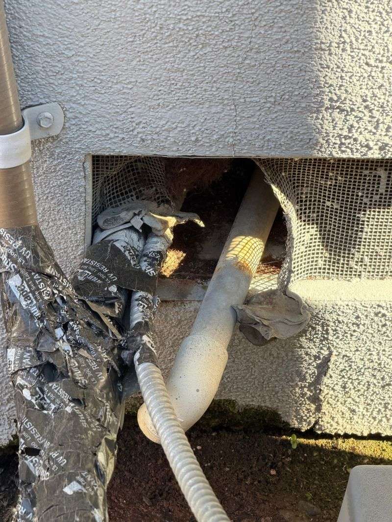 Seal Around Pipes, Cables, And Dryer Vents Seal Around Pipes, Cables, And Dryer Vents