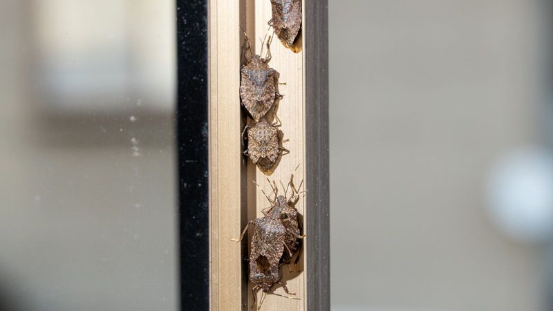 Seal Cracks Around Windows And Doors