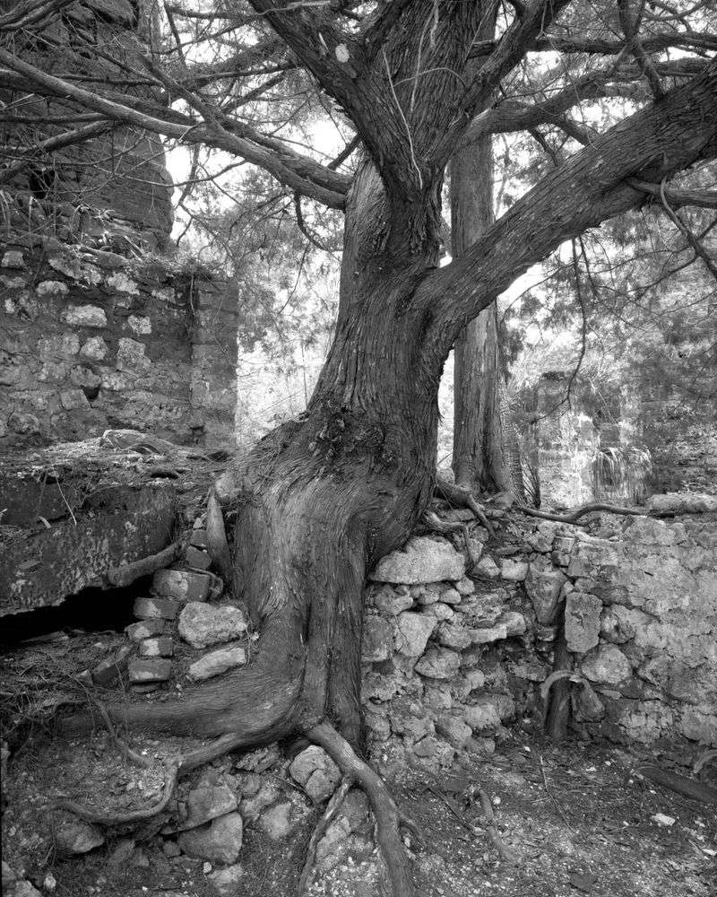 Search For Stone Foundations And Old Cisterns Nearby Search For Stone Foundations And Old Cisterns Nearby