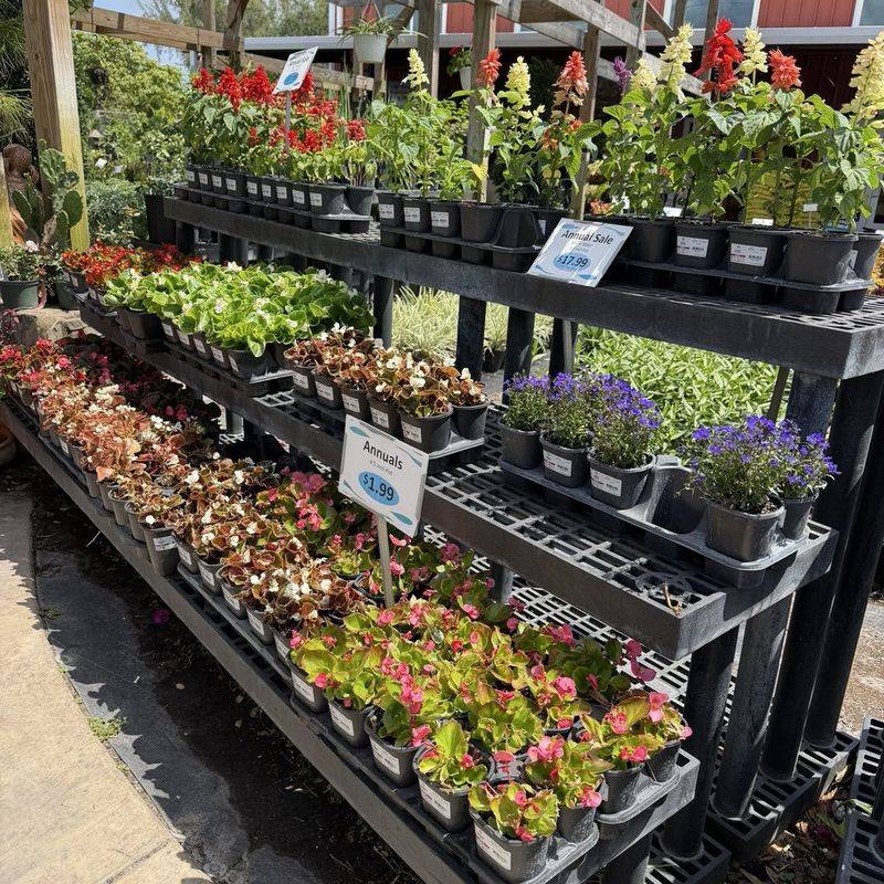 Search Plant Real Florida By Zip Code Or County Search Plant Real Florida By Zip Code Or County