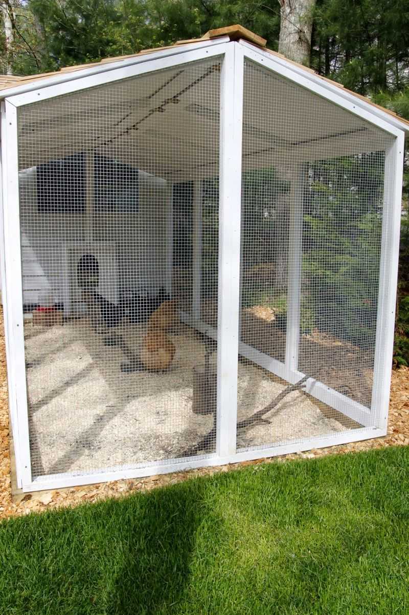 Secure Chickens And Other Small Animals