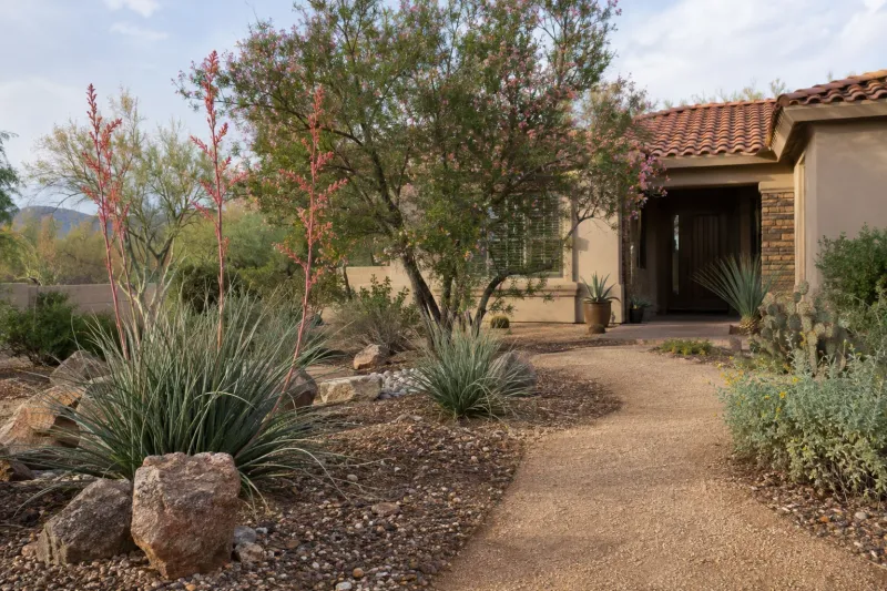 Separate yard rain from drought recovery