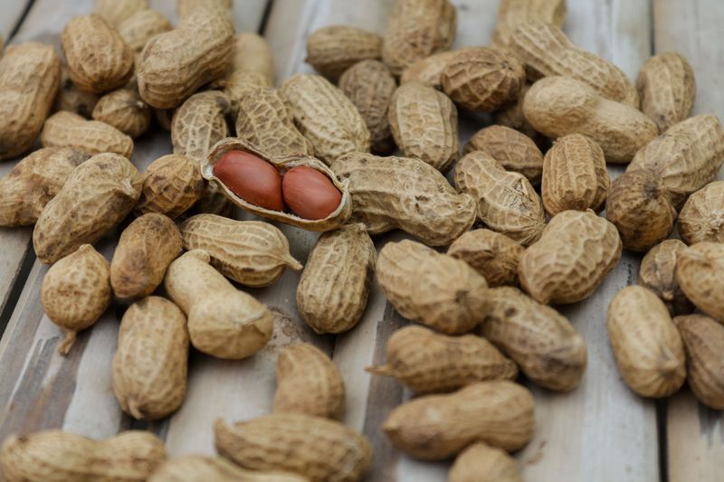 Set Up A Box Fan Beside Your Curing Peanuts