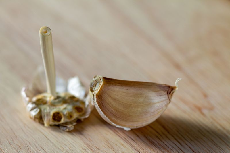 Setting Cloves Too Shallow Or Upside Down Setting Cloves Too Shallow Or Upside Down