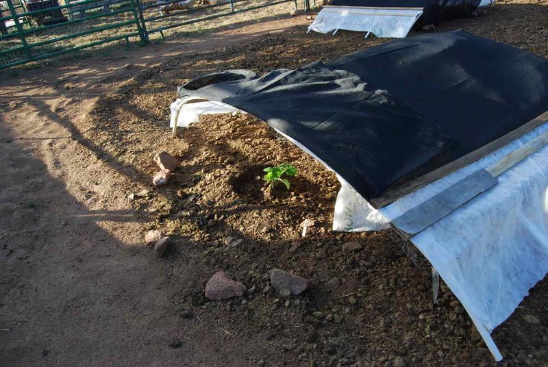 Shade Cloths And Covers Protect The Skin From Cracking