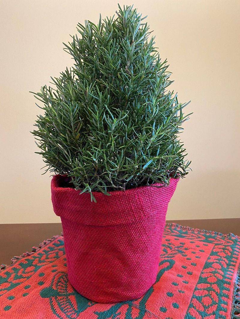 Shaping Mini Holiday Trees And Wreaths