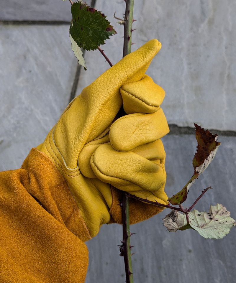 Sharp Thorns Make Thick Gloves And Long Sleeves A Must Sharp Thorns Make Thick Gloves And Long Sleeves A Must