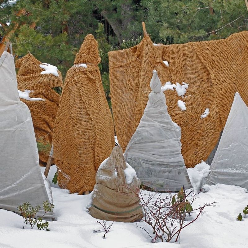 Shelter From Harsh Winter Wind Shelter From Harsh Winter Wind