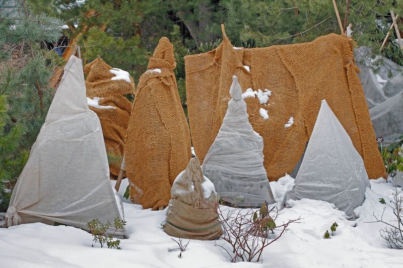 Shield Windy Spots With A Burlap Screen Shield Windy Spots With A Burlap Screen